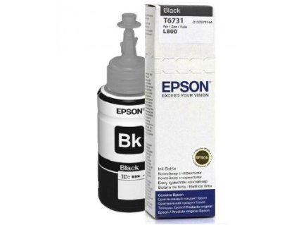 EPSON T6731 black mastilo