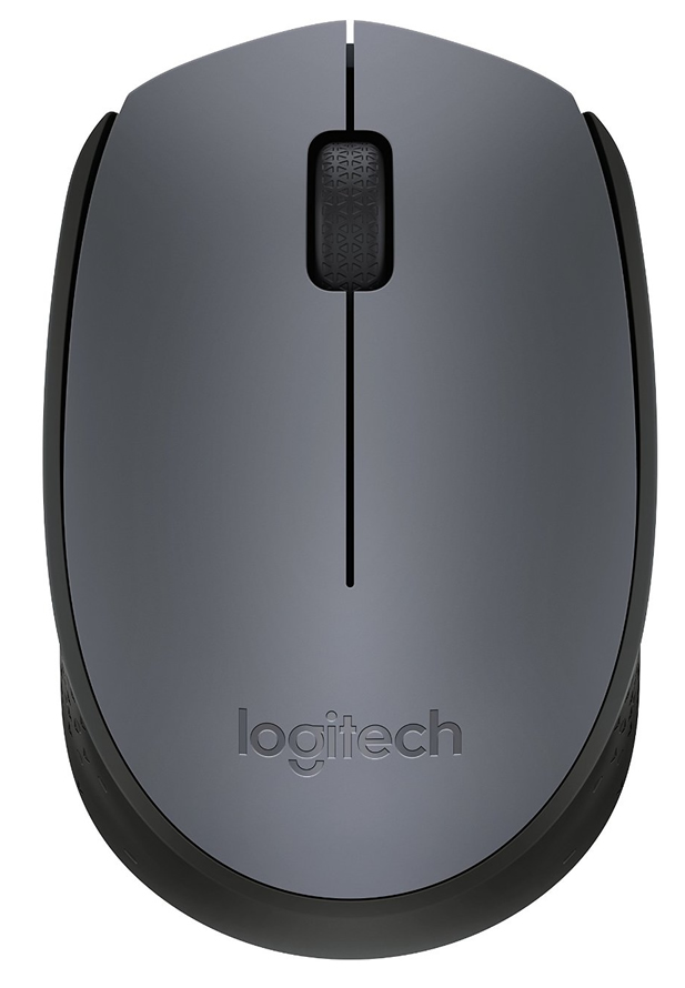 Logitech M170