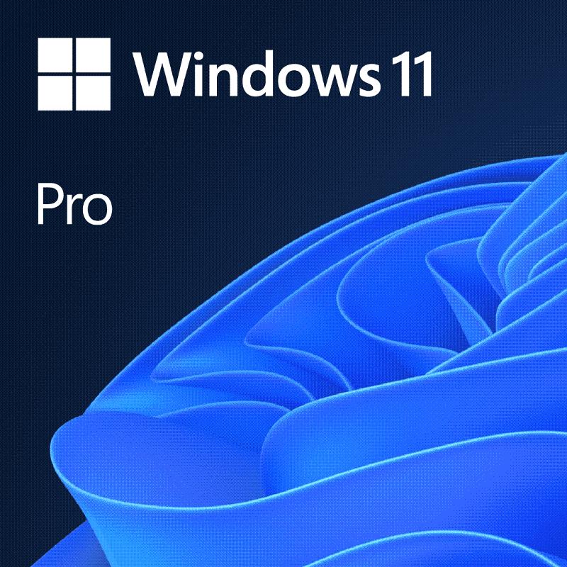 Microsoft Windows 11 Pro 64bit Eng Intl OEM FQC-10528