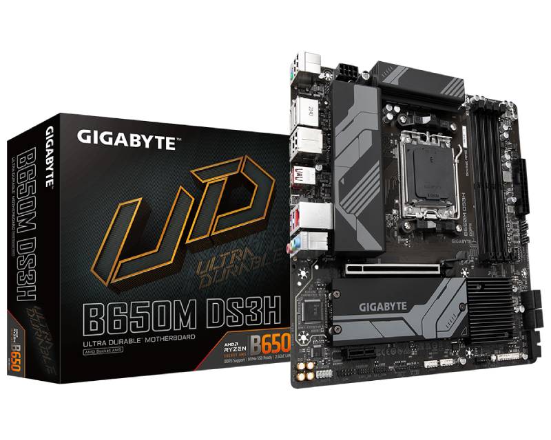 Gigabyte B650M DS3H rev. 1.x