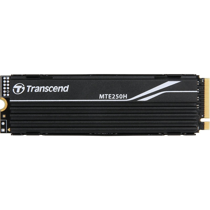 Transcend M.2 TS1TMTE250H/1TB