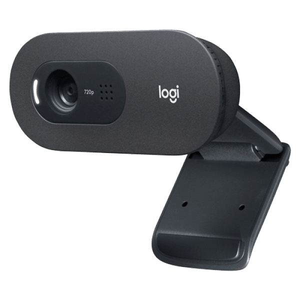 Web camera Logitech C505e 960-001372