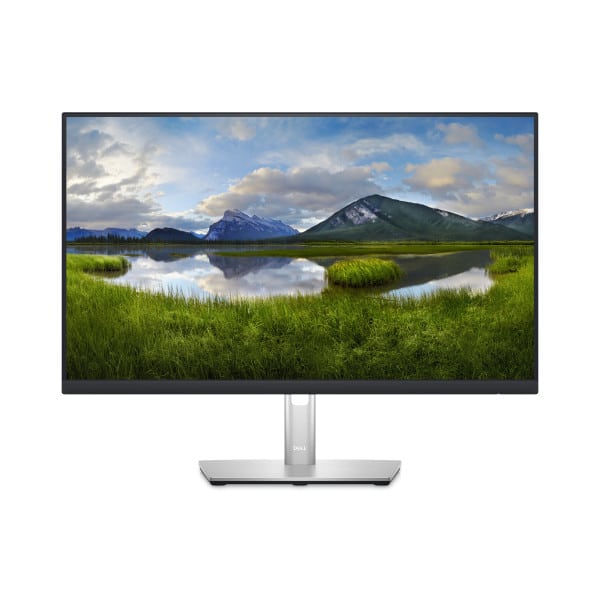 Monitor 23.8&quot; Dell P2423DE IPS