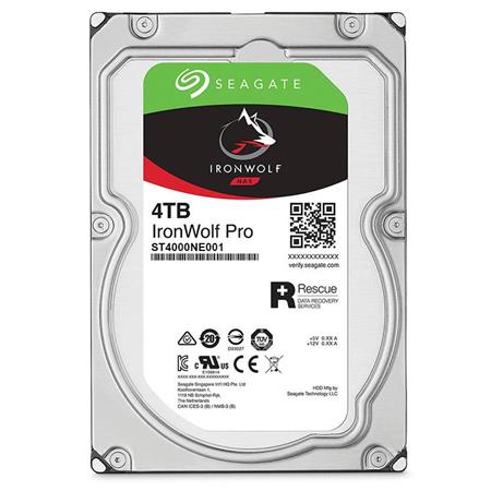 Seagate 4 TB Iron Wolf Pro NAS ST4000NE001