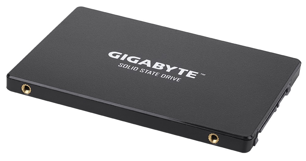 Gigabyte 256 GB GP-GSTFS31256GTND