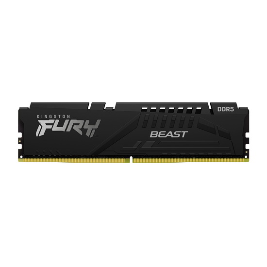 Kingston 16 GB DDR5 4800MT/s KF548C38BB-16