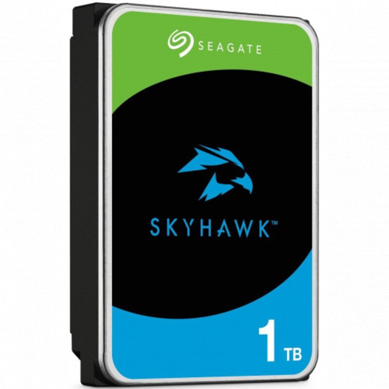 Seagate 1 TB SkyHawk ST1000VX013