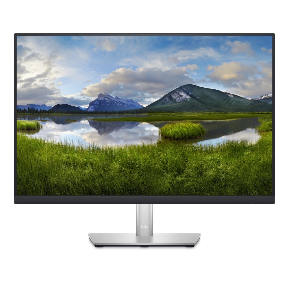 DELL 24" P2423 IPS