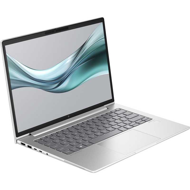 HP EliteBook 645 G11 Pike Silver (A23CGEA#BED)