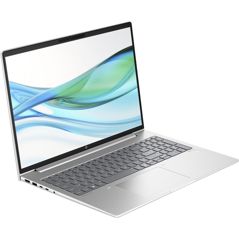 HP ProBook 465 G11 Pike Silver (9Y7F5ET#BED)
