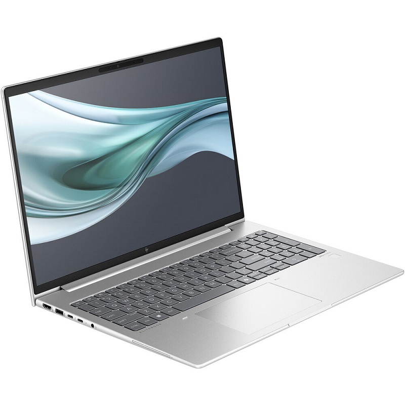 HP EliteBook 660 G11 Pike Silver (9C005EA#BED)