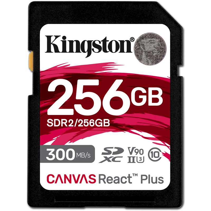 Kingston SD Card 256GB SDR2/256GB