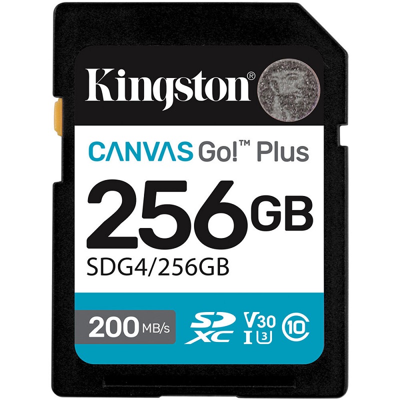 Kingston SD Card 256GB SDG4/256GB