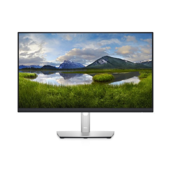 Monitor 23.8" Dell P2422HE