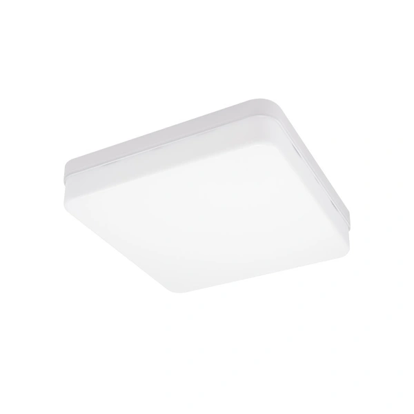 LED plafonjera 24W hladno bela