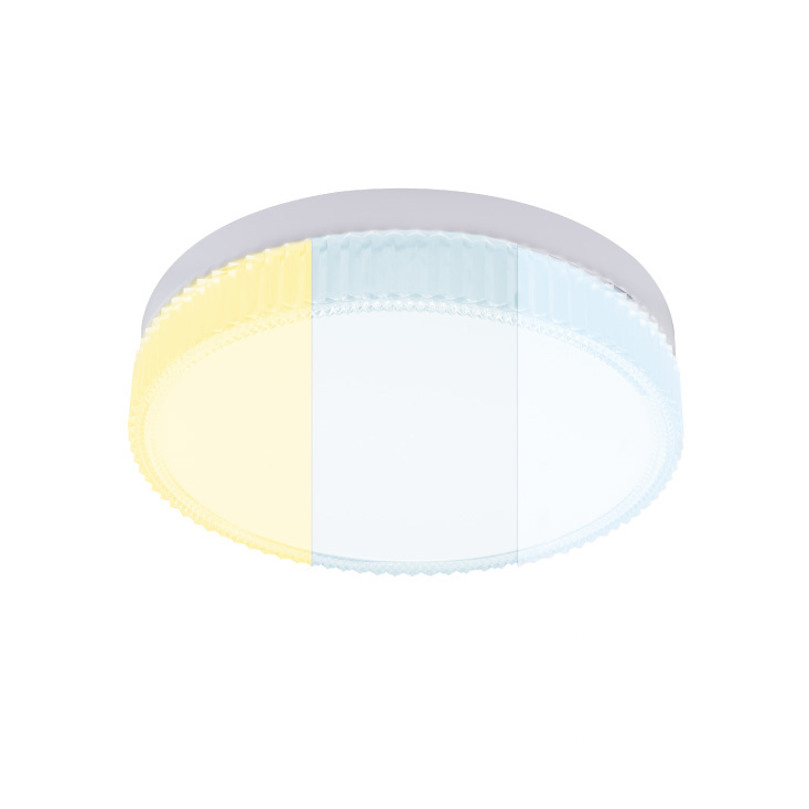 LED plafonjera 24W promenljiva boja svetla