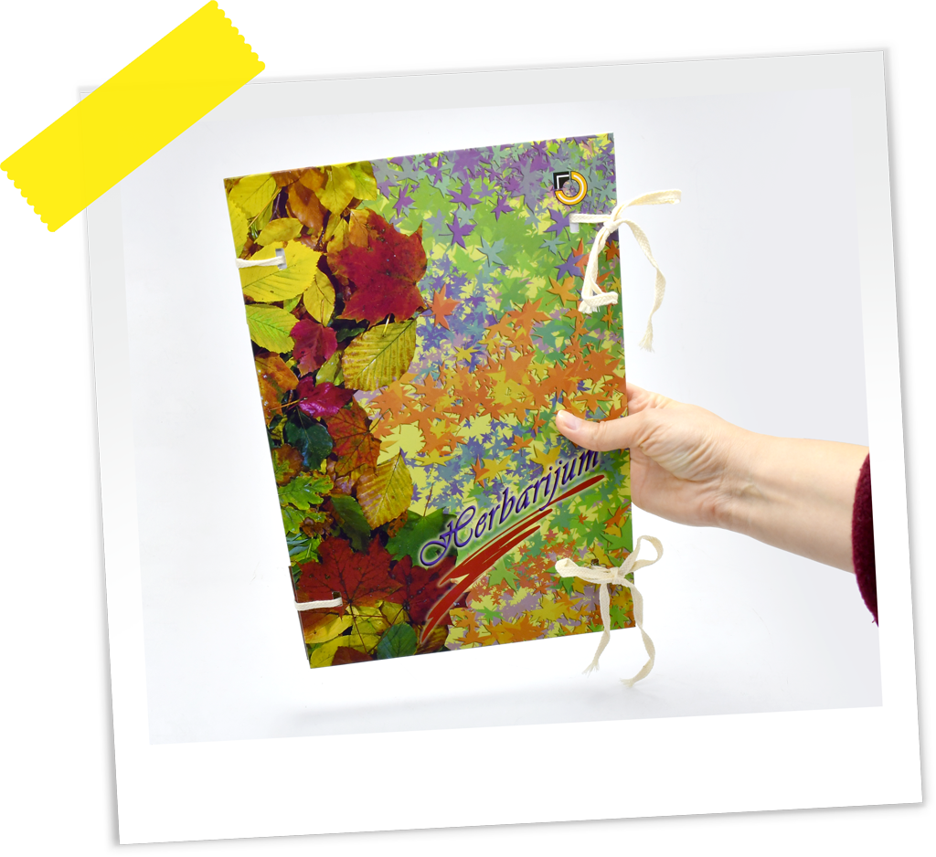 HERBARIJUM 10/1 1267