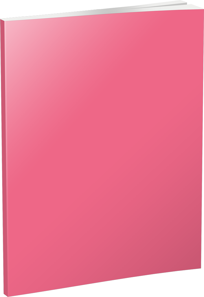 SVESKA PREMIUM A4/100 MEKA DIKTO