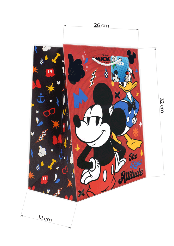 KESA UKRASNA L 26X12X32 MICKEY MINNIE HOLO 564045 *SY