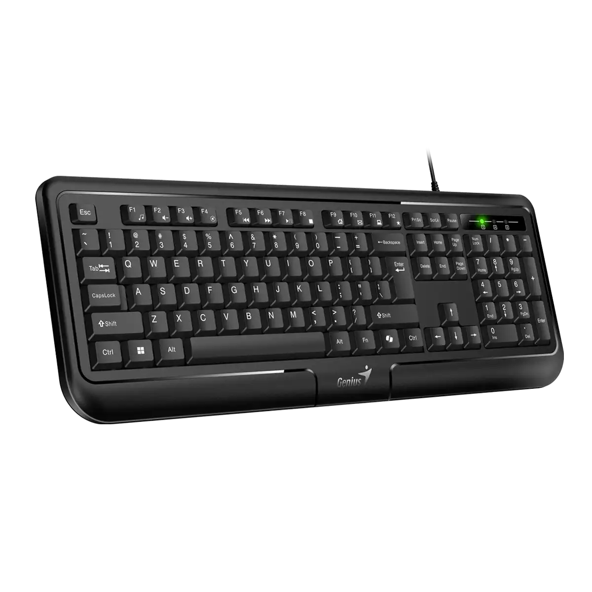 TASTATURA GENIUS ŽIČNA USB KB-118 II YU