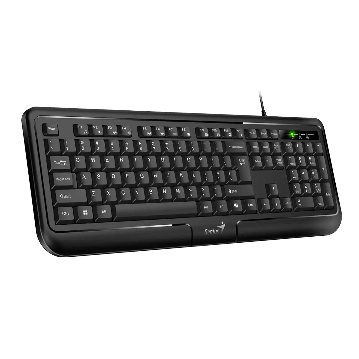 TASTATURA GENIUS ŽIČNA USB KB-118 II YU
