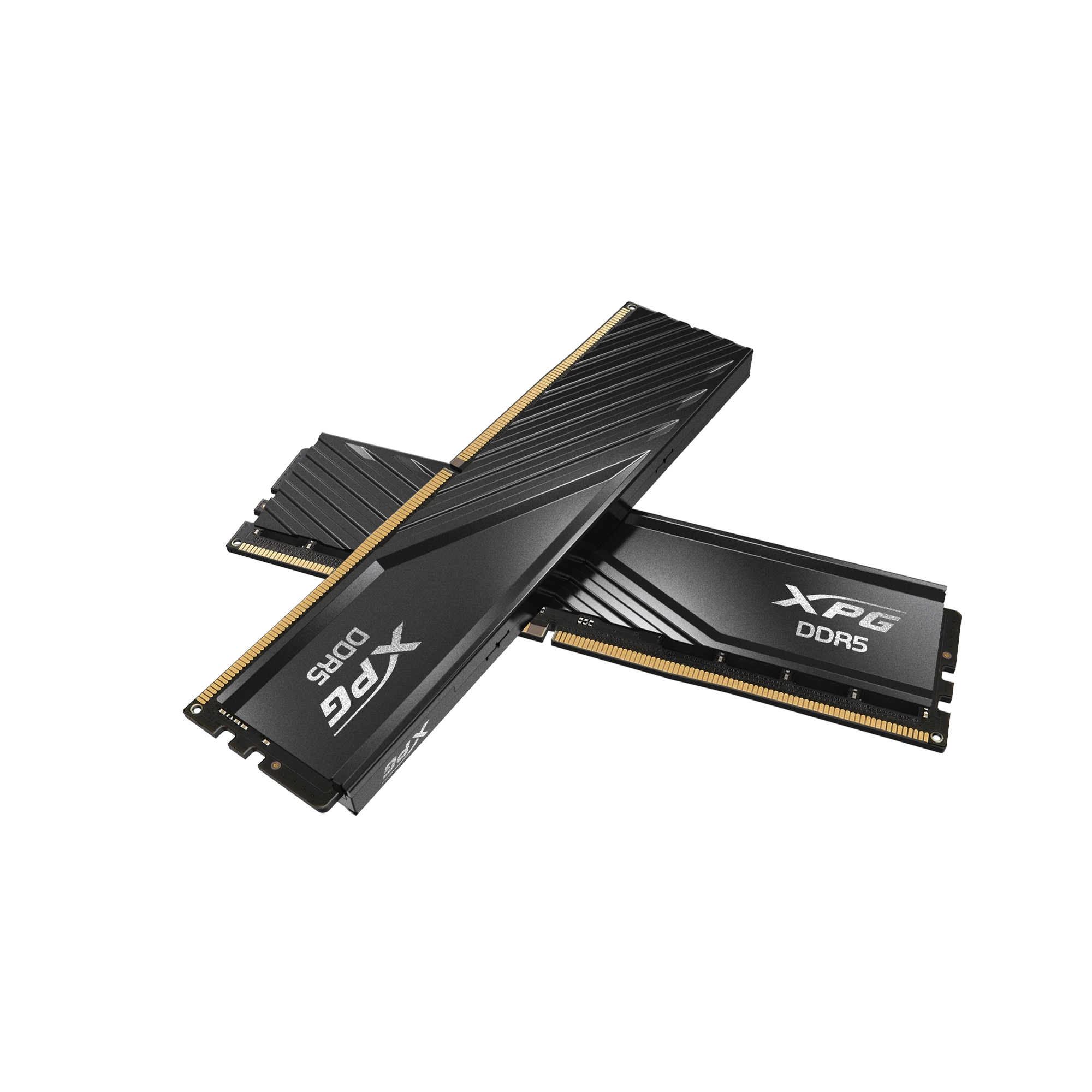 ADATA 32 GB DDR5 6000MT/s AX5U6000C3016G-DTLABBK