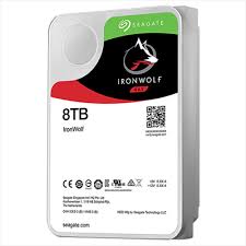 Seagate 8 TB Iron Wolf NAS ST8000VN004