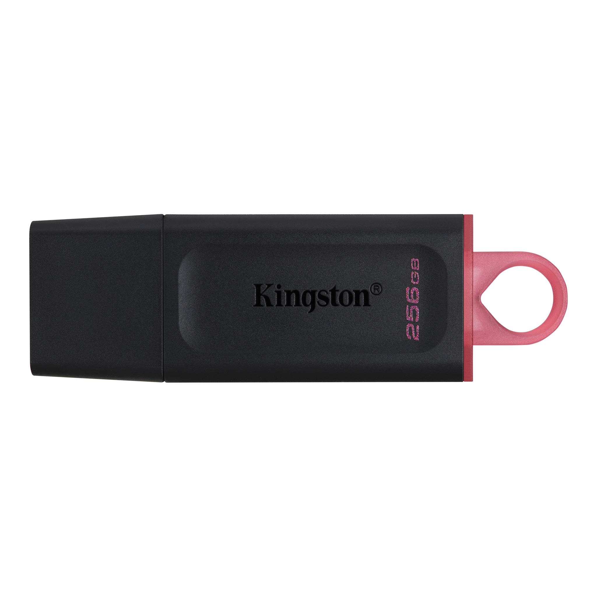 Kingston DTX/256GB