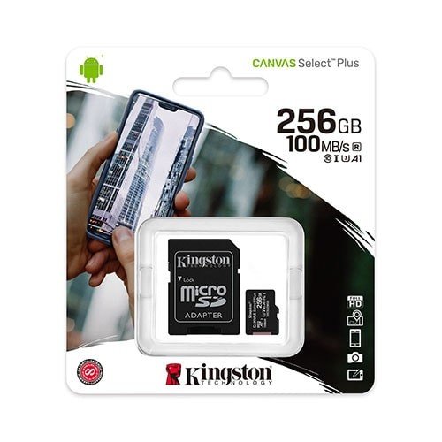 Kingston SDCS2/256GB