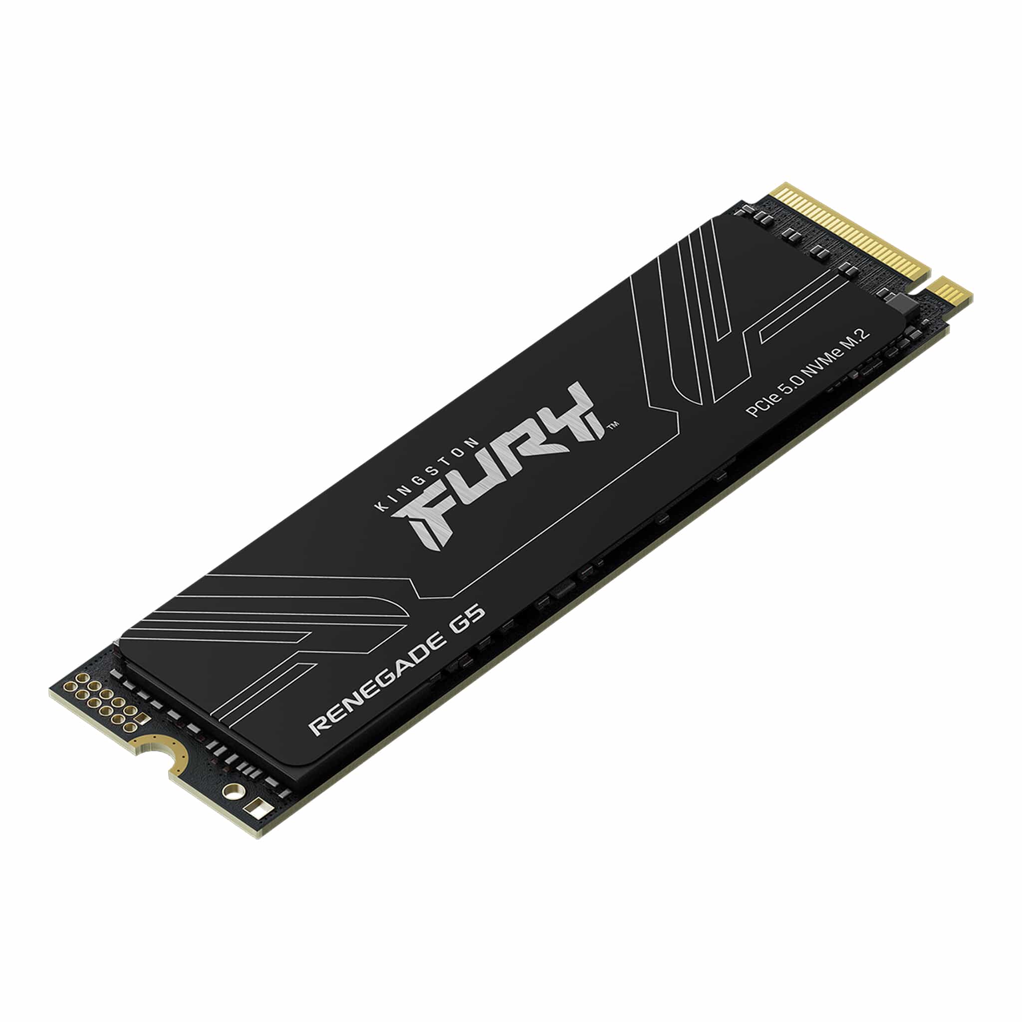 Kingston 4 TB FURY Renegade G5 SFYR2S/4T0